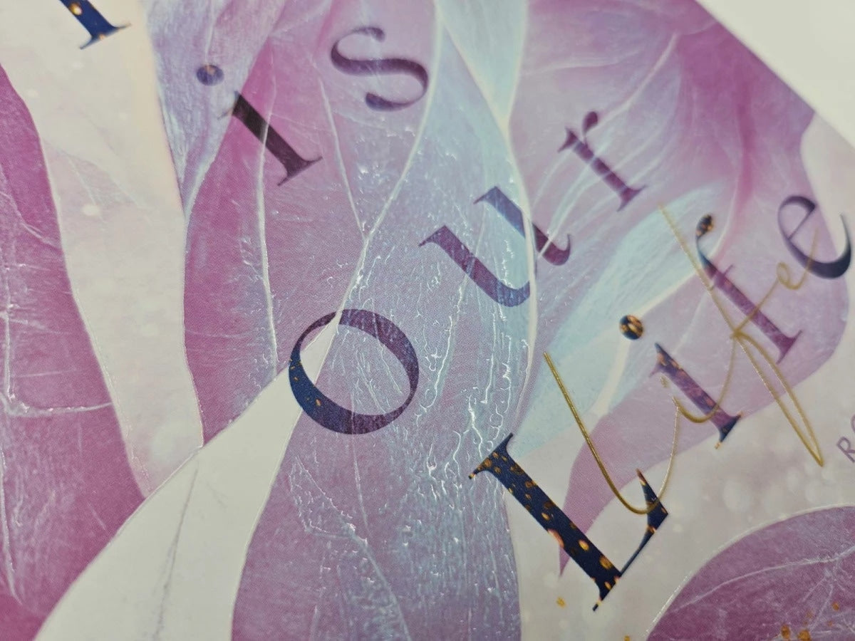 This is Our Life / Hollywood Dreams Bd.2