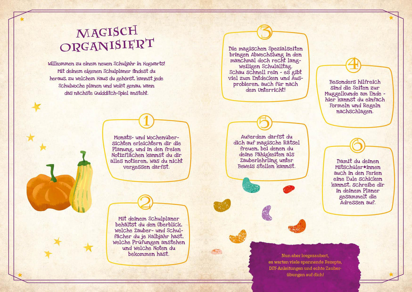Mein Schülerkalender für Harry Potter-Fans! 2024/2025
