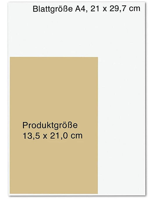 Wo die Sterne uns sehen / Die Skyline-Reihe Bd.1