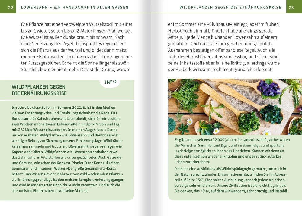 Löwenzahn - Wunderkraut für Resilienz und Lebenskraft. Kompakt-Ratgeber