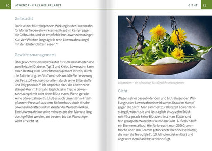 Löwenzahn - Wunderkraut für Resilienz und Lebenskraft. Kompakt-Ratgeber