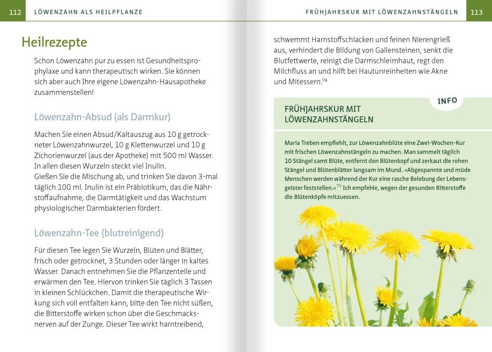 Löwenzahn - Wunderkraut für Resilienz und Lebenskraft. Kompakt-Ratgeber