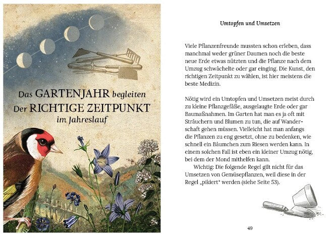 Gärtnern mit der Kraft des Mondes