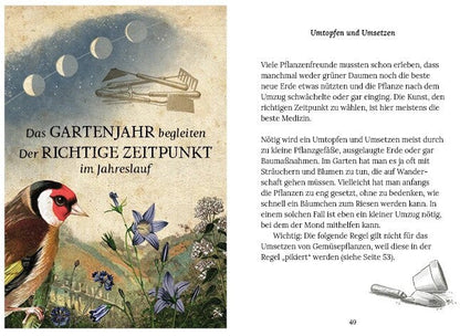 Gärtnern mit der Kraft des Mondes