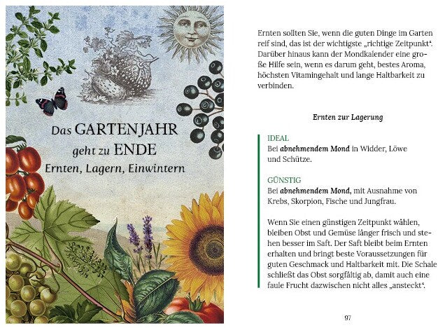 Gärtnern mit der Kraft des Mondes