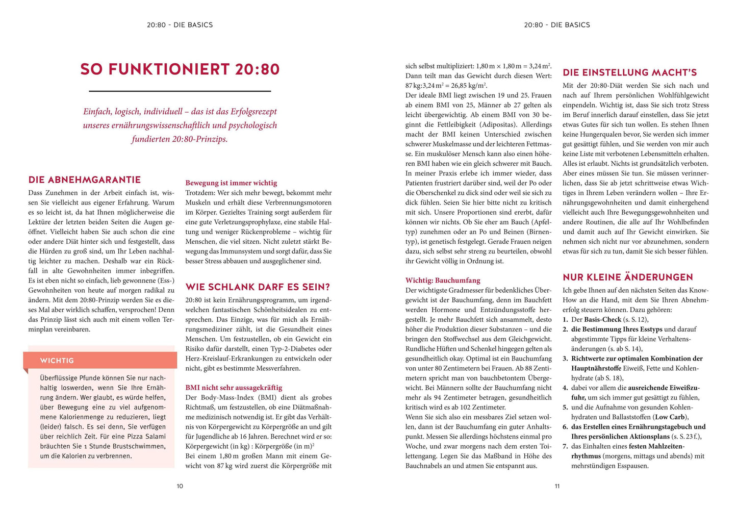 Abnehm Blitzrezepte für Berufstätige nach dem 20:80 Prinzip