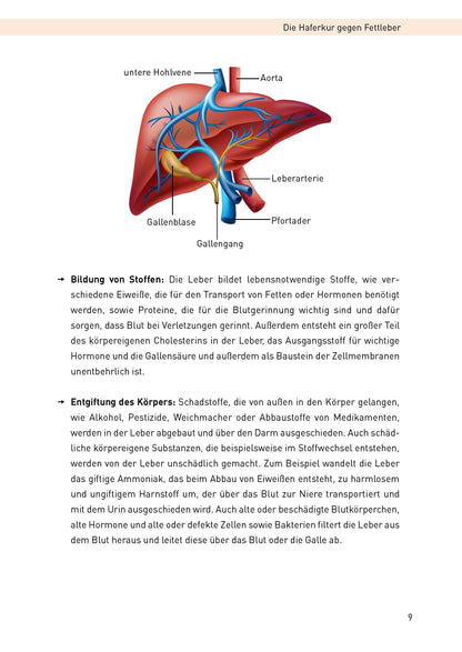 Die Haferkur gegen Fettleber