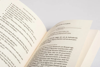 Dieses Problem lasse ich bei dir