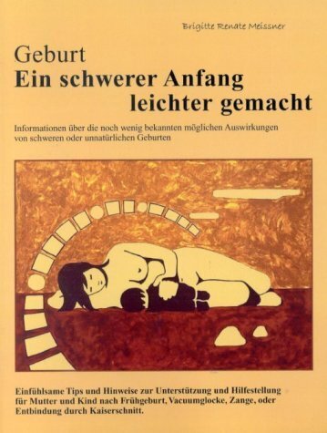 Geburt - Ein schwerer Anfang leichter gemacht (Brigitte R Meissner)