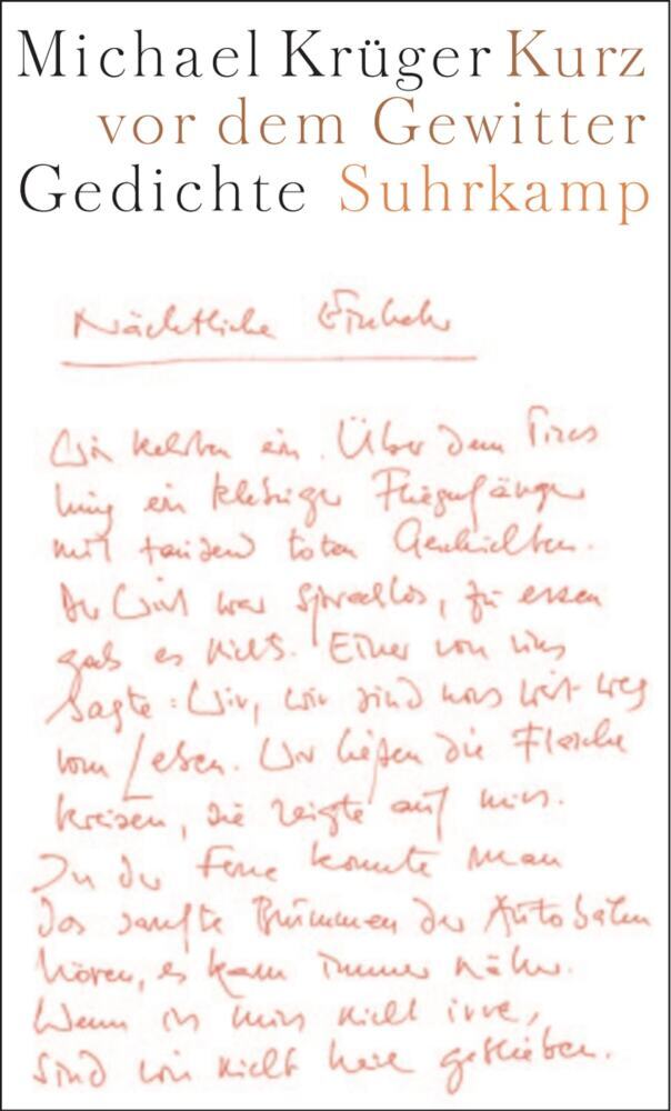 Kurz vor dem Gewitter (Michael Krüger)
