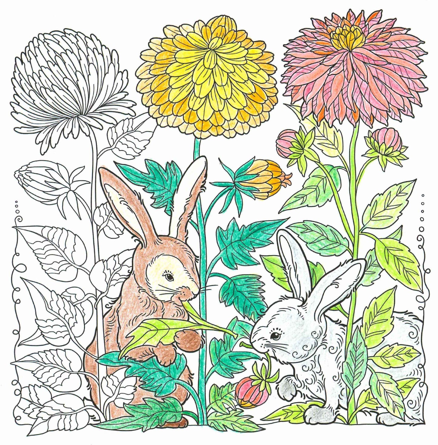 Gartenliebe - Ausmalen und Entspannen