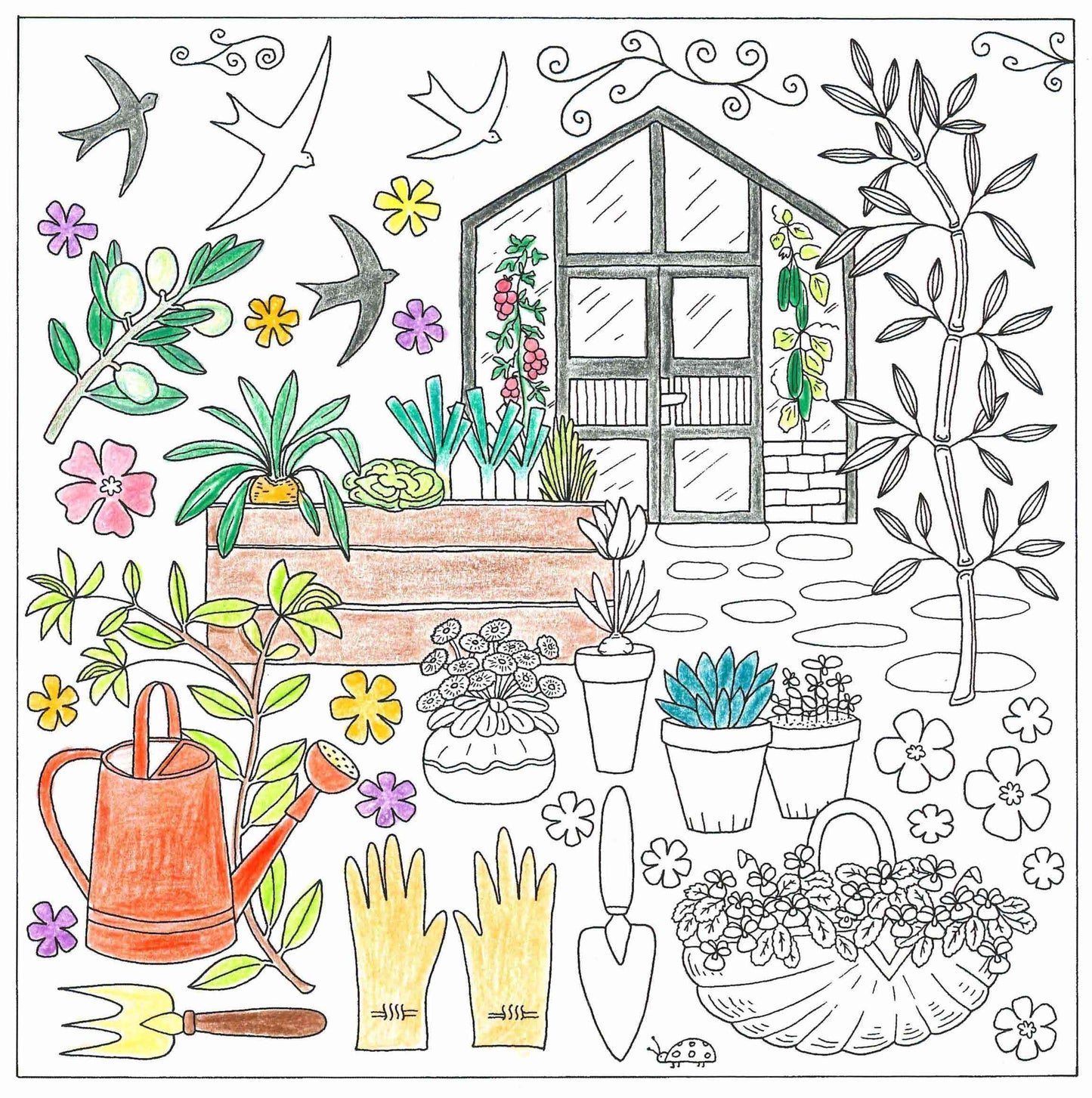 Gartenliebe - Ausmalen und Entspannen