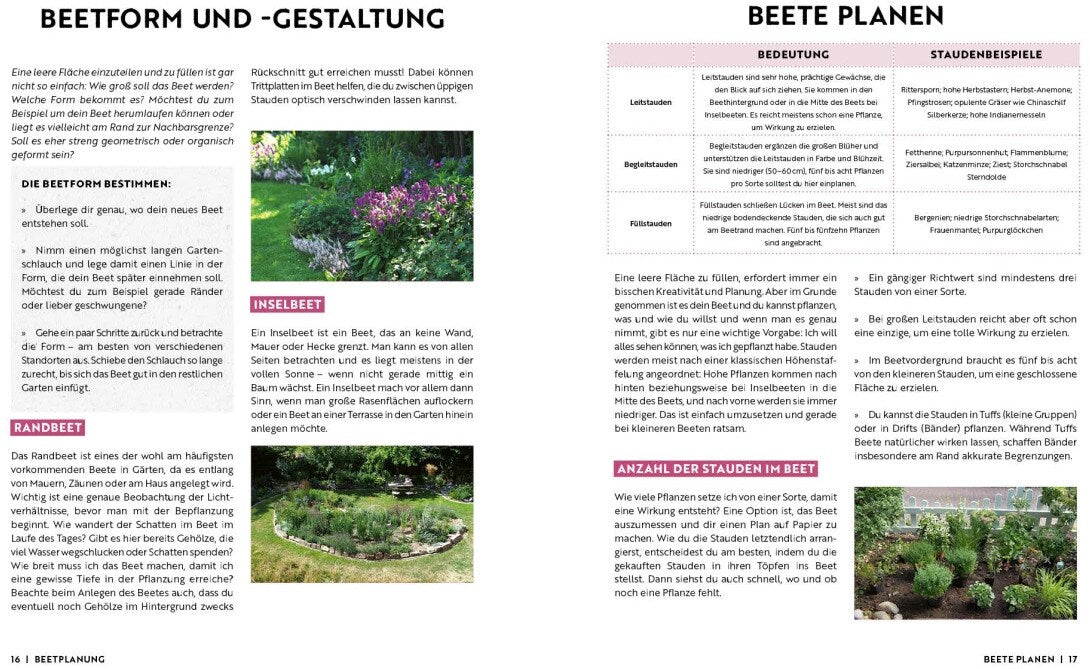 Gartenmomente: Blumen im Garten