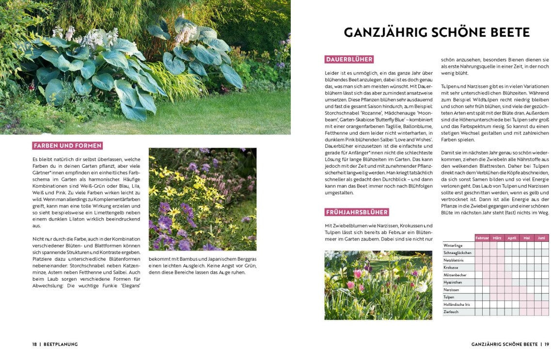 Gartenmomente: Blumen im Garten