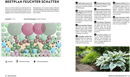 Gartenmomente: Blumen im Garten