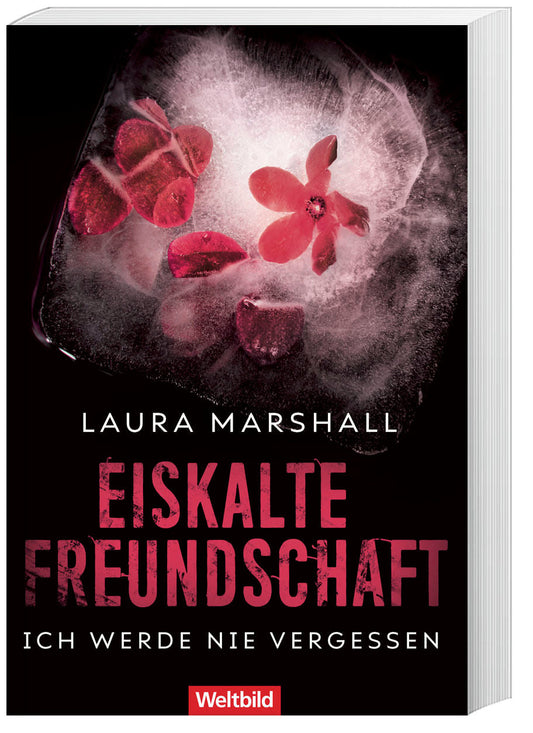 Eiskalte Freundschaft. Ich werde nie vergessen