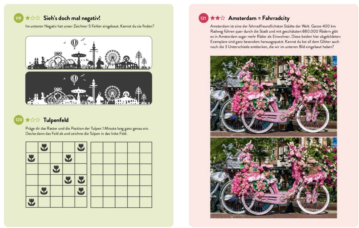 Das grosse Buch der Bilderrätsel