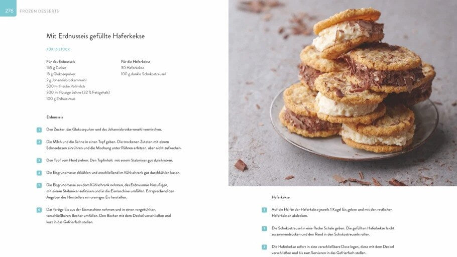 Christian Brandstätter Die Eis-Bibel (Deutsch, 2024, Yüksel Saier, Christian Reinhardt)