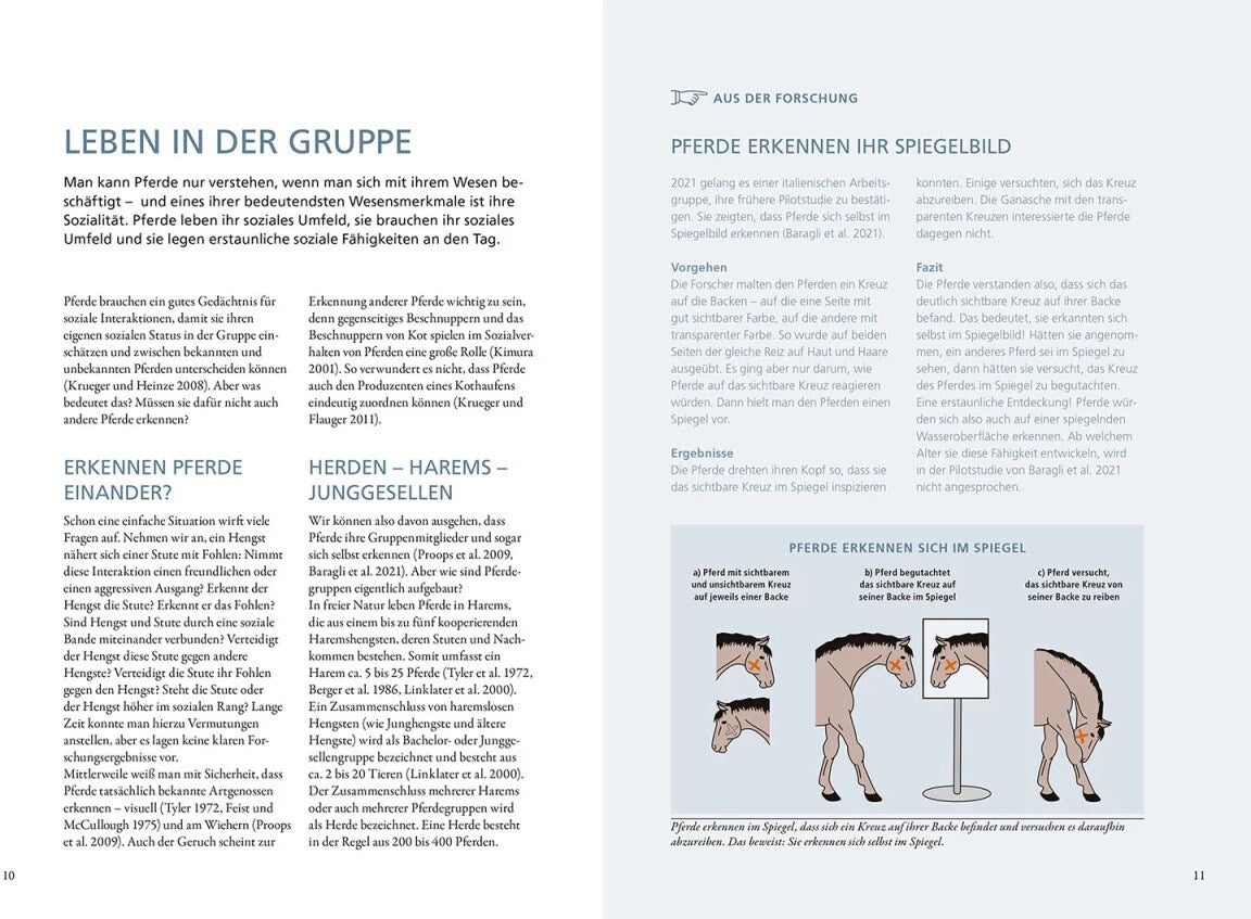 Kosmos Forschung trifft Pferd (Deutsch, 2022, Konstanze Krüger, Isabell Marr)