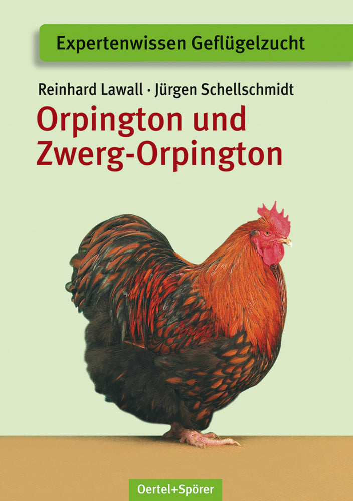 Orpington und Zwerg-Orpington (Reinhard Lawall)