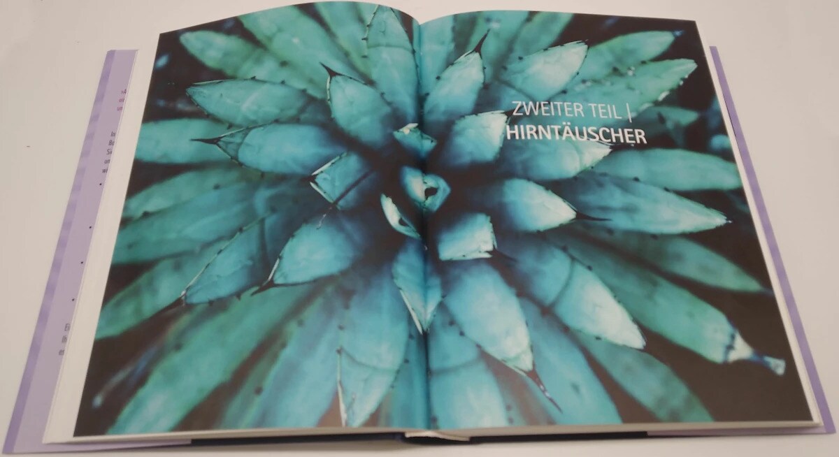 Arkana Heile dein Gehirn - Das Praxisprogramm (Deutsch, 2023, Anthony William)