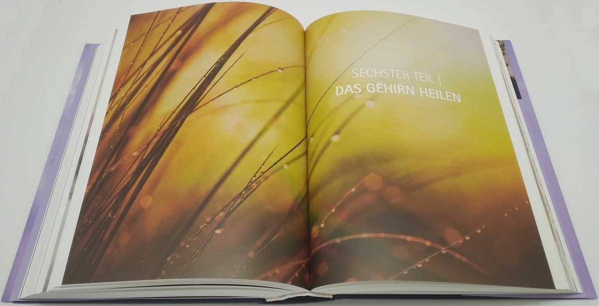 Arkana Heile dein Gehirn - Das Basisbuch (Deutsch, 2023, Anthony William)
