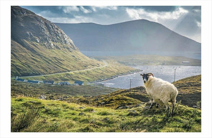 btb The Hebridean Baker (Deutsch, 2023, Coinneach MacLeod)