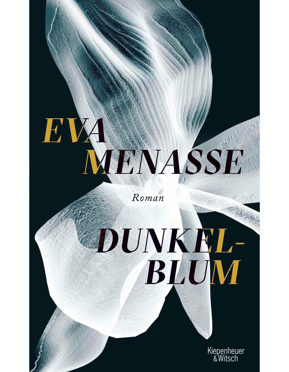 Kiepenheuer & Witsch Dunkelblum (Deutsch, 2021, Eva Menasse)