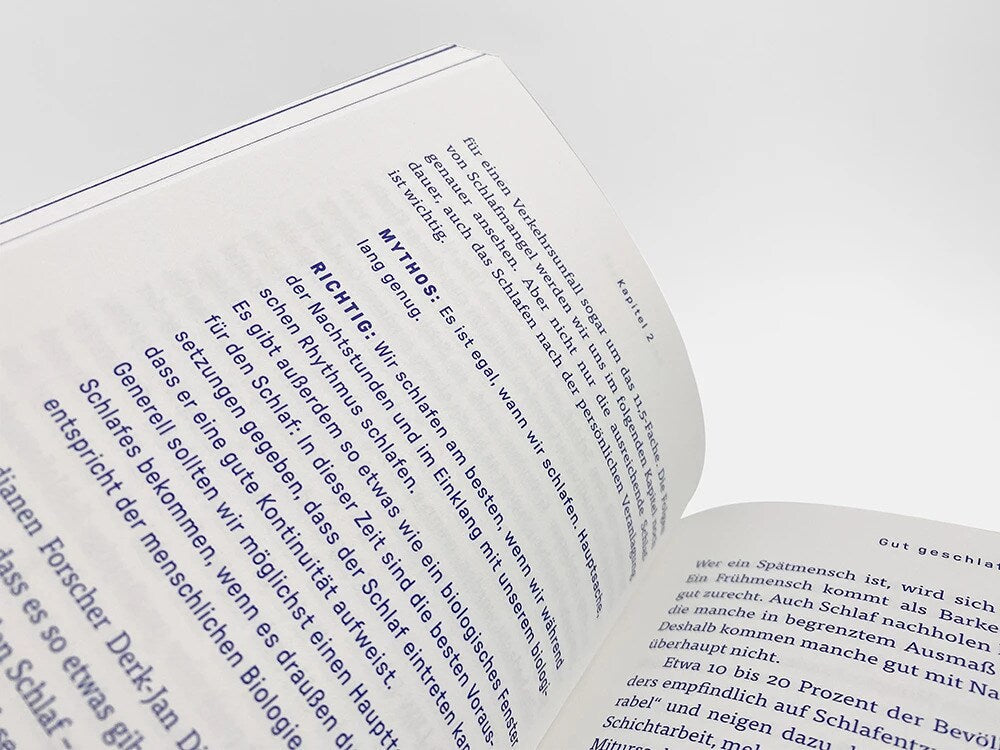 Christian Brandstätter Besser schlafen (Deutsch, 2023, Birgit Högl, Saskia Blatakes)