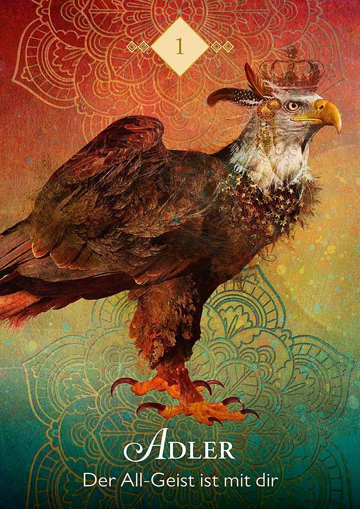 Droemer Knaur Das Orakel der Krafttiere (Deutsch, 2019, Colette Baron-Reid)