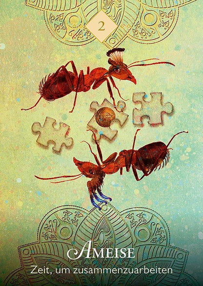 Droemer Knaur Das Orakel der Krafttiere (Deutsch, 2019, Colette Baron-Reid)