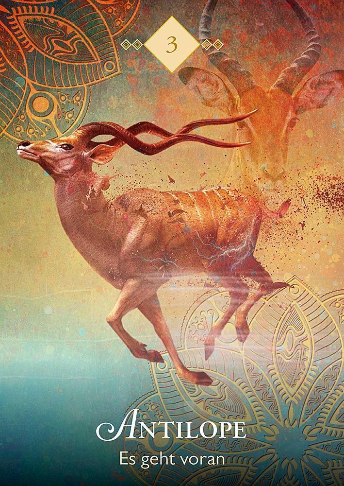 Droemer Knaur Das Orakel der Krafttiere (Deutsch, 2019, Colette Baron-Reid)