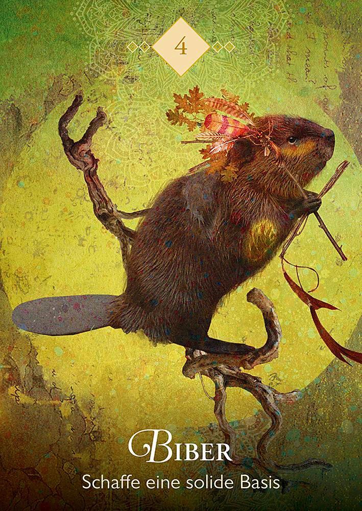 Droemer Knaur Das Orakel der Krafttiere (Deutsch, 2019, Colette Baron-Reid)