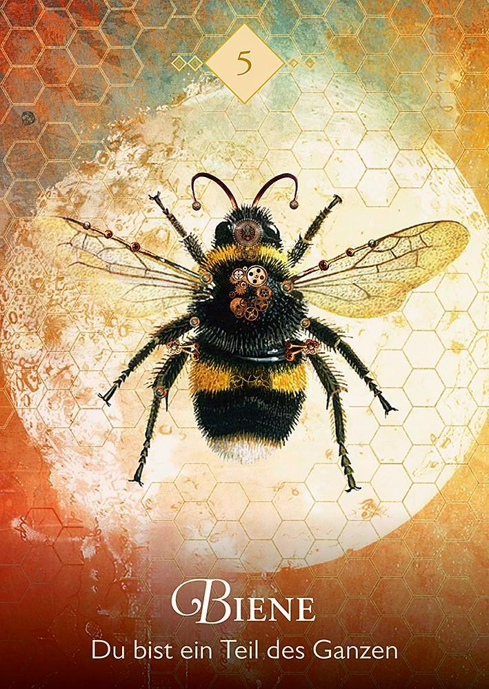 Droemer Knaur Das Orakel der Krafttiere (Deutsch, 2019, Colette Baron-Reid)