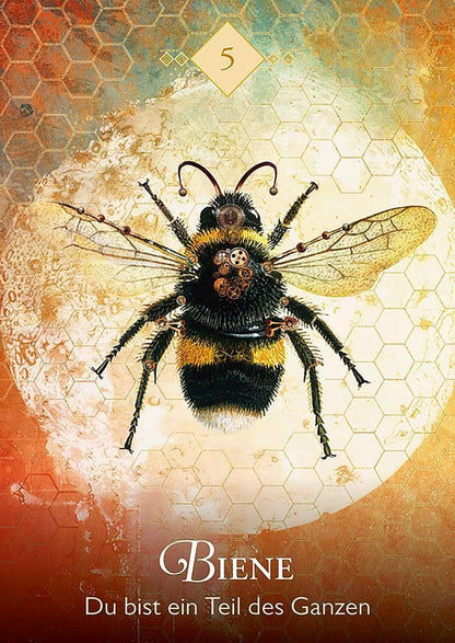 Droemer Knaur Das Orakel der Krafttiere (Deutsch, 2019, Colette Baron-Reid)