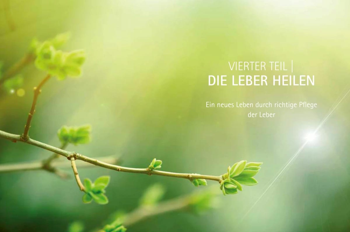 Arkana Heile deine Leber (Deutsch, 2019, Anthony William)