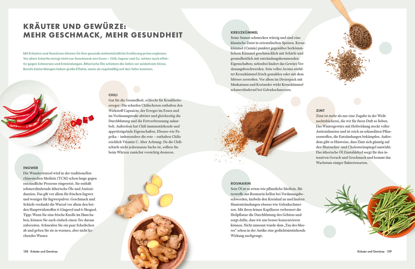 ZS Die Ernährungs-Docs - Unsere 100 besten antientzündlichen Rezepte (Deutsch, 2024, Matthias|Andresen  Riedl)