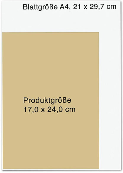 O.W. Barth Shaolin Spirit (Deutsch, 2023, Shi Heng Yi, Stefanie Koch)