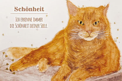 Schirner Botschaften unserer Tiere - Liebevolle Impulse für die Mensch-Tier-Beziehung (Deutsch, 2023, Christiane Krieg, Sabine Waldmann)