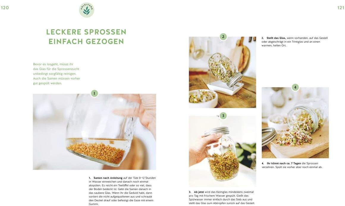 GU Deine Fensterbank kann Garten! (Deutsch, 2023, Annemarie Imgrund)