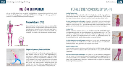 Riva Der Faszien-Code (Deutsch, 2024, Miriam Wessels, Heike Oellerich, Robert Schleip)