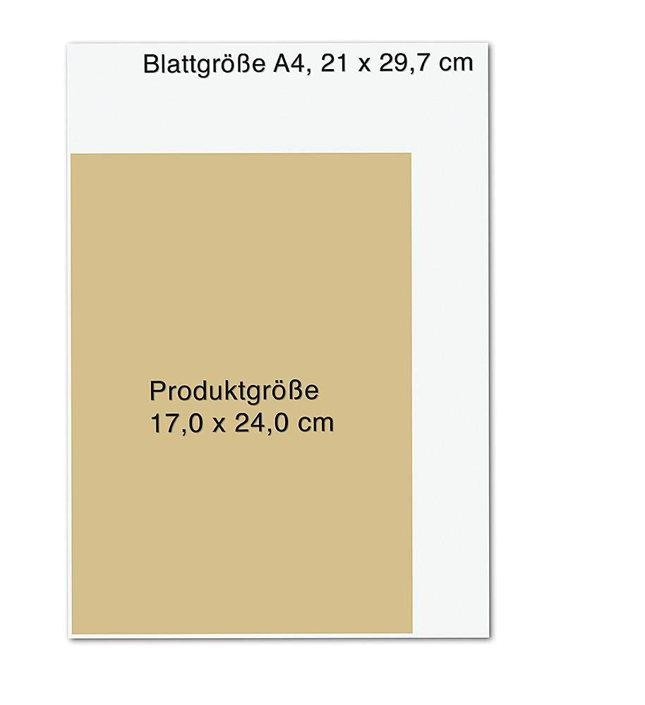 Droemer Knaur 7 Minuten am Tag endlich kraftvoll und gelassen (Deutsch, 2023, Franziska Rubin)