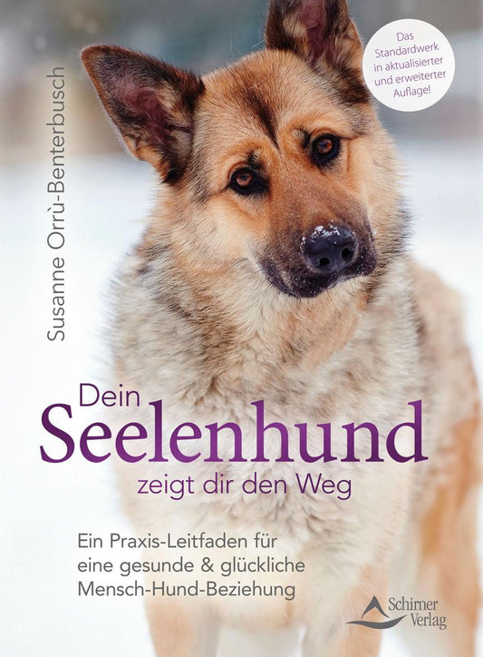 Schirner Dein Seelenhund zeigt dir den Weg (Deutsch, 2021, Susanne Orrù-Benterbusch)