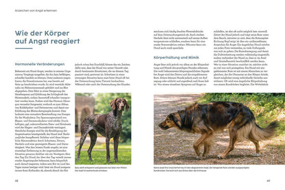 Kosmos Angst bei Hunden - mit Martin Rütter (Deutsch, 2022, Martin Rütter, Andrea Buisman)