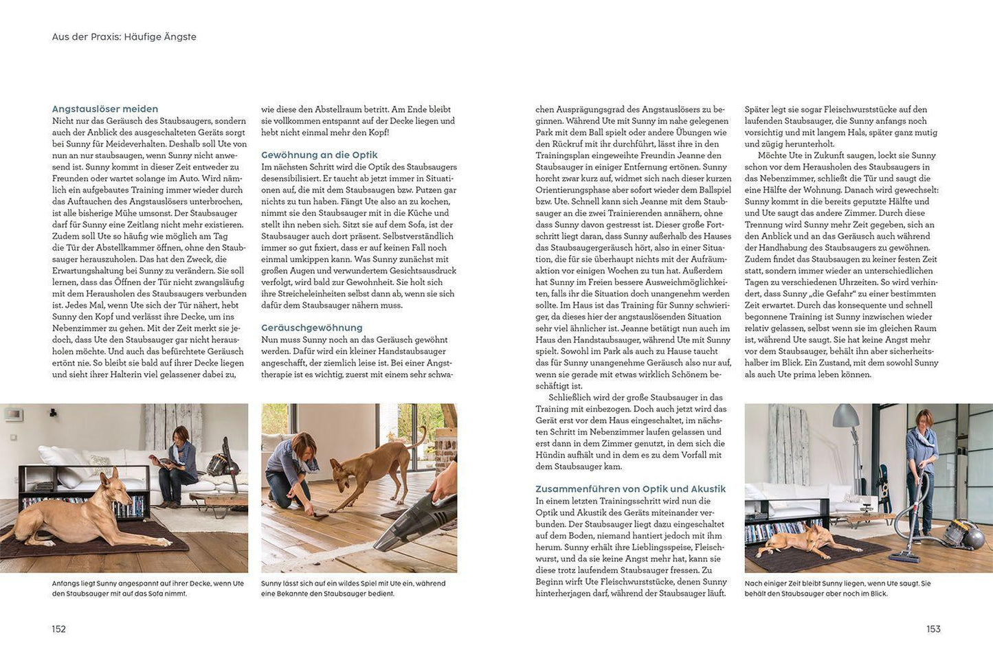 Kosmos Angst bei Hunden - mit Martin Rütter (Deutsch, 2022, Martin Rütter, Andrea Buisman)