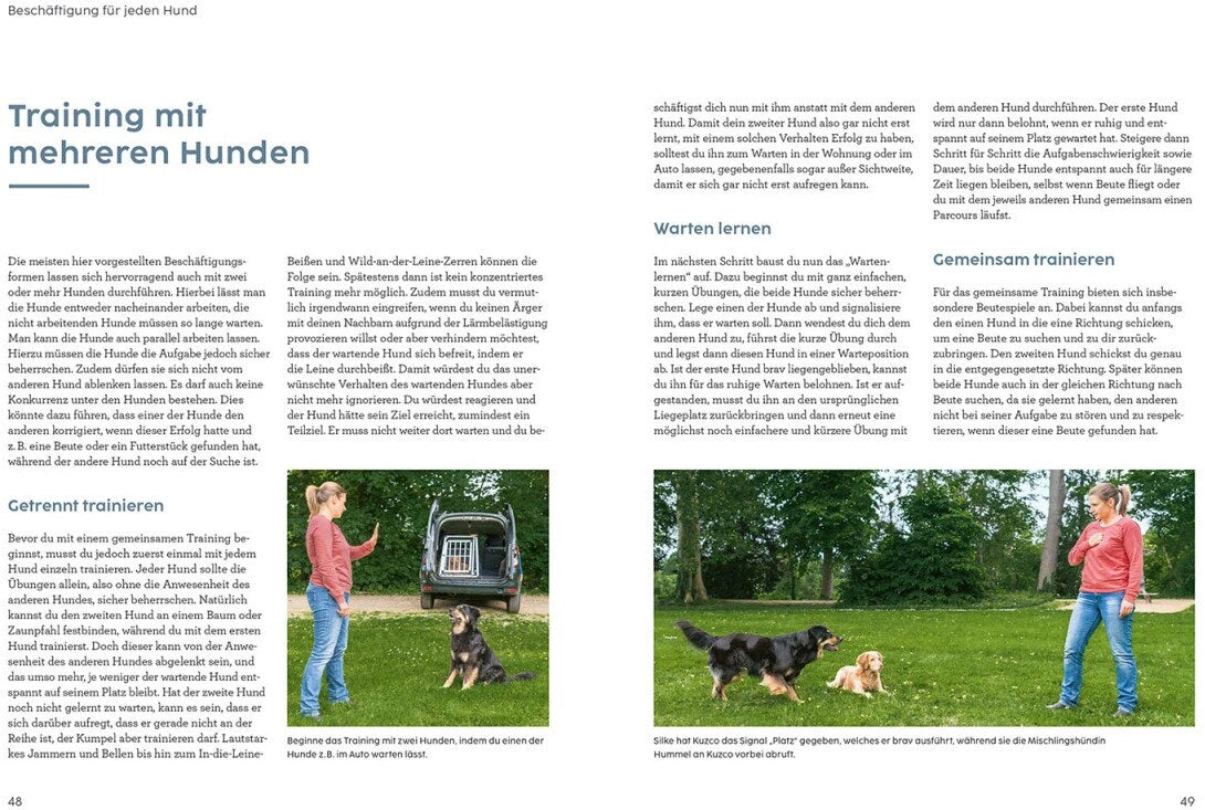 Kosmos Hunde beschäftigen mit Martin Rütter (Deutsch, 2022, Martin Rütter, Andrea Buisman)