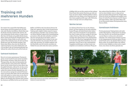 Kosmos Hunde beschäftigen mit Martin Rütter (Deutsch, 2022, Martin Rütter, Andrea Buisman)