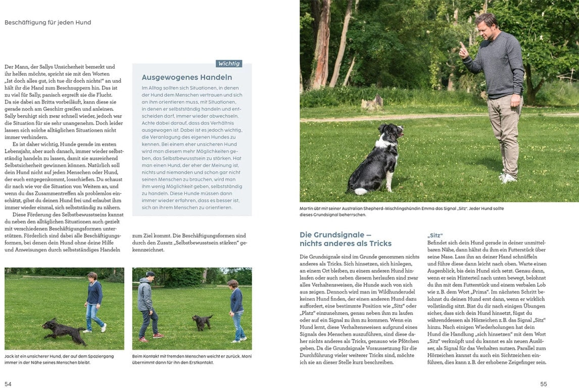 Kosmos Hunde beschäftigen mit Martin Rütter (Deutsch, 2022, Martin Rütter, Andrea Buisman)