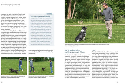 Kosmos Hunde beschäftigen mit Martin Rütter (Deutsch, 2022, Martin Rütter, Andrea Buisman)