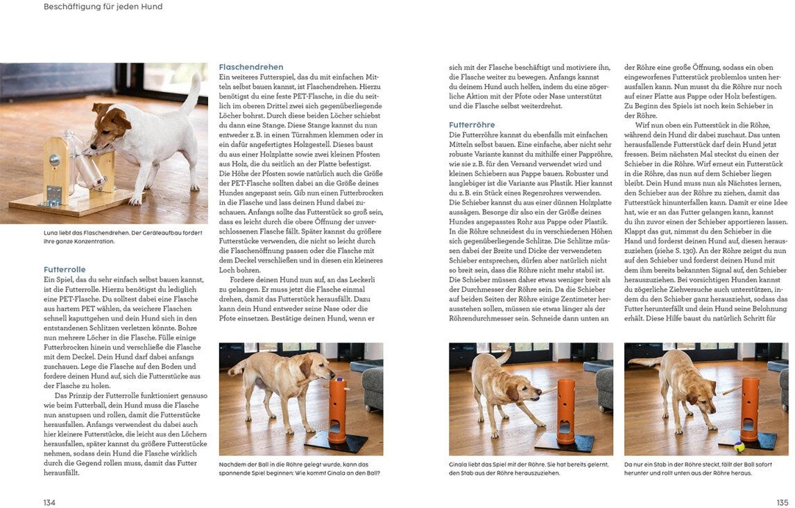 Kosmos Hunde beschäftigen mit Martin Rütter (Deutsch, 2022, Martin Rütter, Andrea Buisman)